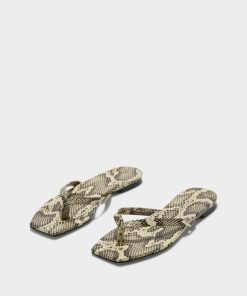 Cesaradair.shop9a6b69ac8f 1