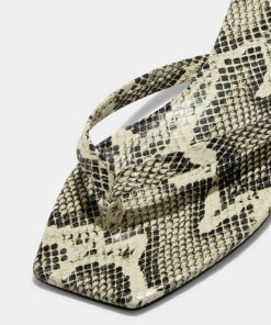 Cesaradair.shop9a6b69ac8f 2