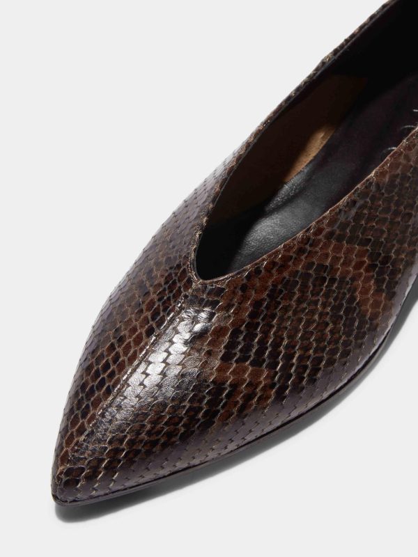 Cesaradair.shopd3481d01a2 2